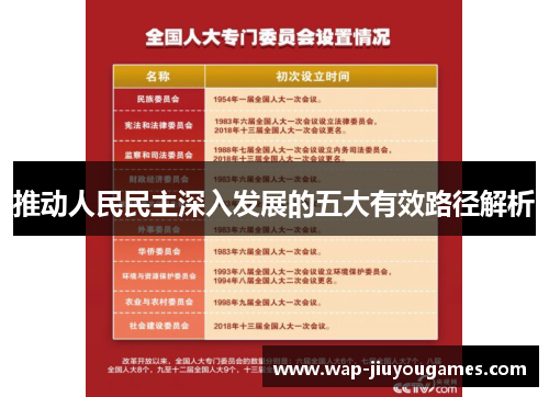 推动人民民主深入发展的五大有效路径解析