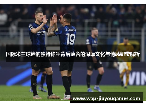 国际米兰球迷的独特称呼背后蕴含的深厚文化与情感纽带解析