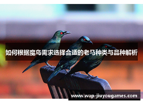如何根据魔鸟需求选择合适的老马种类与品种解析 如何根据魔鸟需求选择合适的老马种类与品种解析